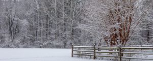 Preview wallpaper snow, winter, trees, forest, fence, landscape, white