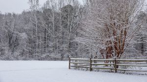 Preview wallpaper snow, winter, trees, forest, fence, landscape, white