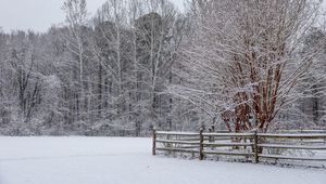 Preview wallpaper snow, winter, trees, forest, fence, landscape, white