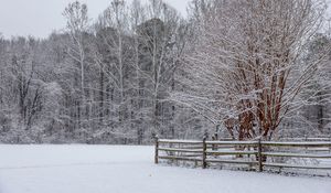 Preview wallpaper snow, winter, trees, forest, fence, landscape, white