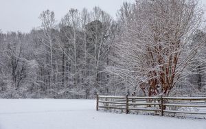 Preview wallpaper snow, winter, trees, forest, fence, landscape, white