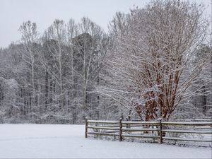 Preview wallpaper snow, winter, trees, forest, fence, landscape, white
