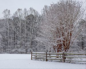 Preview wallpaper snow, winter, trees, forest, fence, landscape, white
