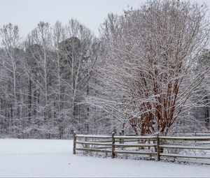 Preview wallpaper snow, winter, trees, forest, fence, landscape, white