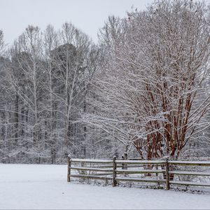 Preview wallpaper snow, winter, trees, forest, fence, landscape, white