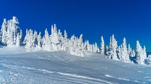 Preview wallpaper snow, winter, trees, landscape