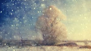 Preview wallpaper snow, wood, grain, field, winter