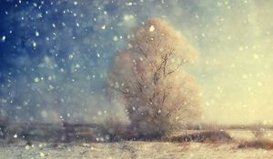 Preview wallpaper snow, wood, grain, field, winter