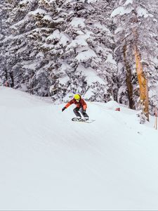 Preview wallpaper snowboard, snowboarder, jump, snow, trees, winter