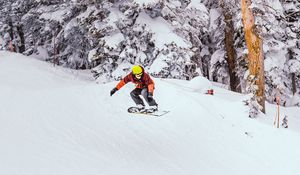 Preview wallpaper snowboard, snowboarder, jump, snow, trees, winter