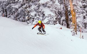 Preview wallpaper snowboard, snowboarder, jump, snow, trees, winter