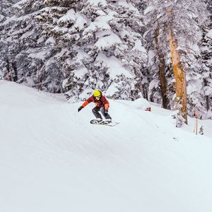 Preview wallpaper snowboard, snowboarder, jump, snow, trees, winter