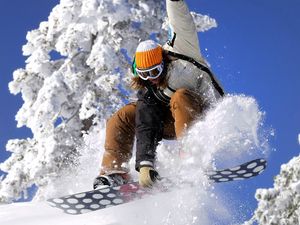 Preview wallpaper snowboard, snowboarder, snow, board, sport