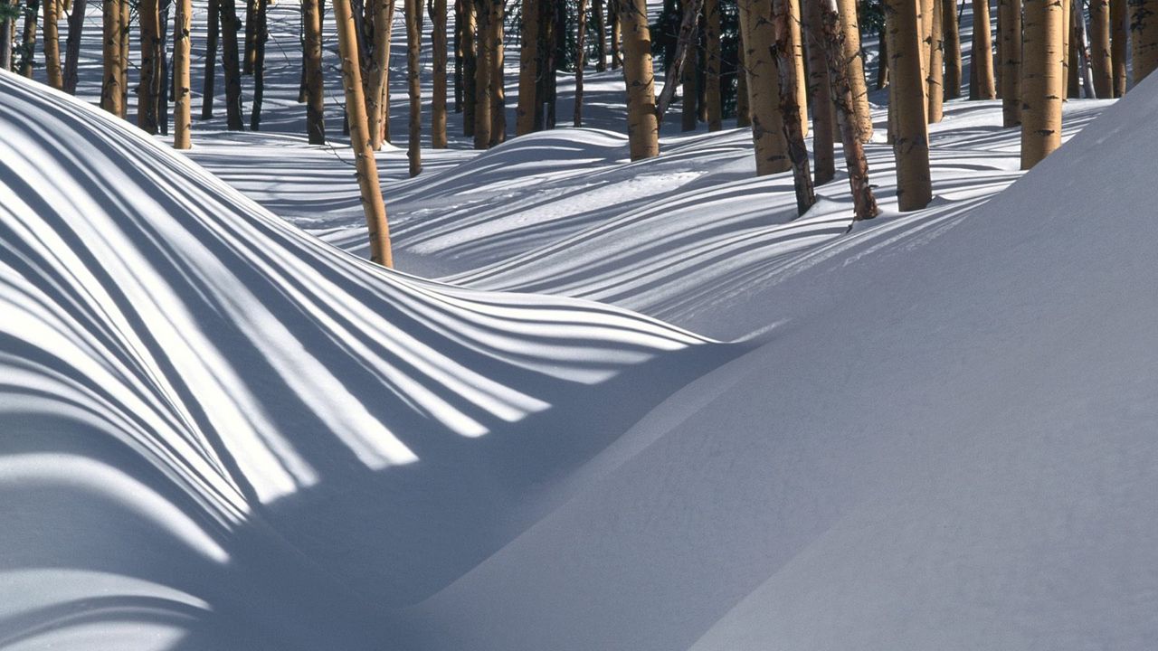 Wallpaper snowdrifts, wood, shades