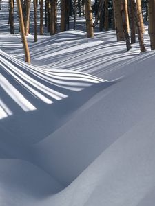 Preview wallpaper snowdrifts, wood, shades