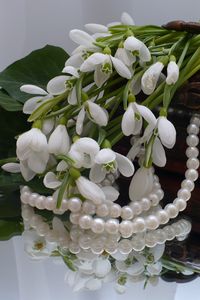 Preview wallpaper snowdrops, flowers, casket, jewelry, mirrors, reflection