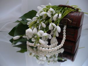 Preview wallpaper snowdrops, flowers, casket, jewelry, mirrors, reflection