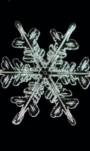 Preview wallpaper snowflake, ice, macro, pattern, crystal