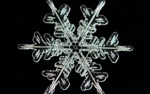 Preview wallpaper snowflake, ice, macro, pattern, crystal