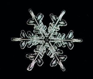 Preview wallpaper snowflake, ice, macro, pattern, crystal