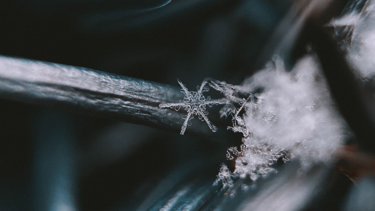 Wallpaper snowflake, macro, closeup, winter