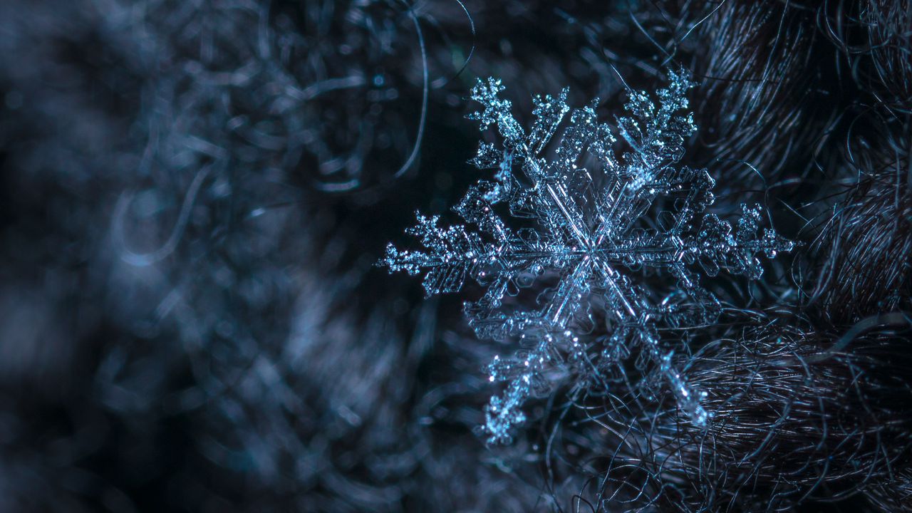 Wallpaper snowflake, pattern, structure, ice