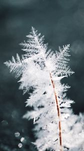 Preview wallpaper snowflake, snow, ice, macro, pattern