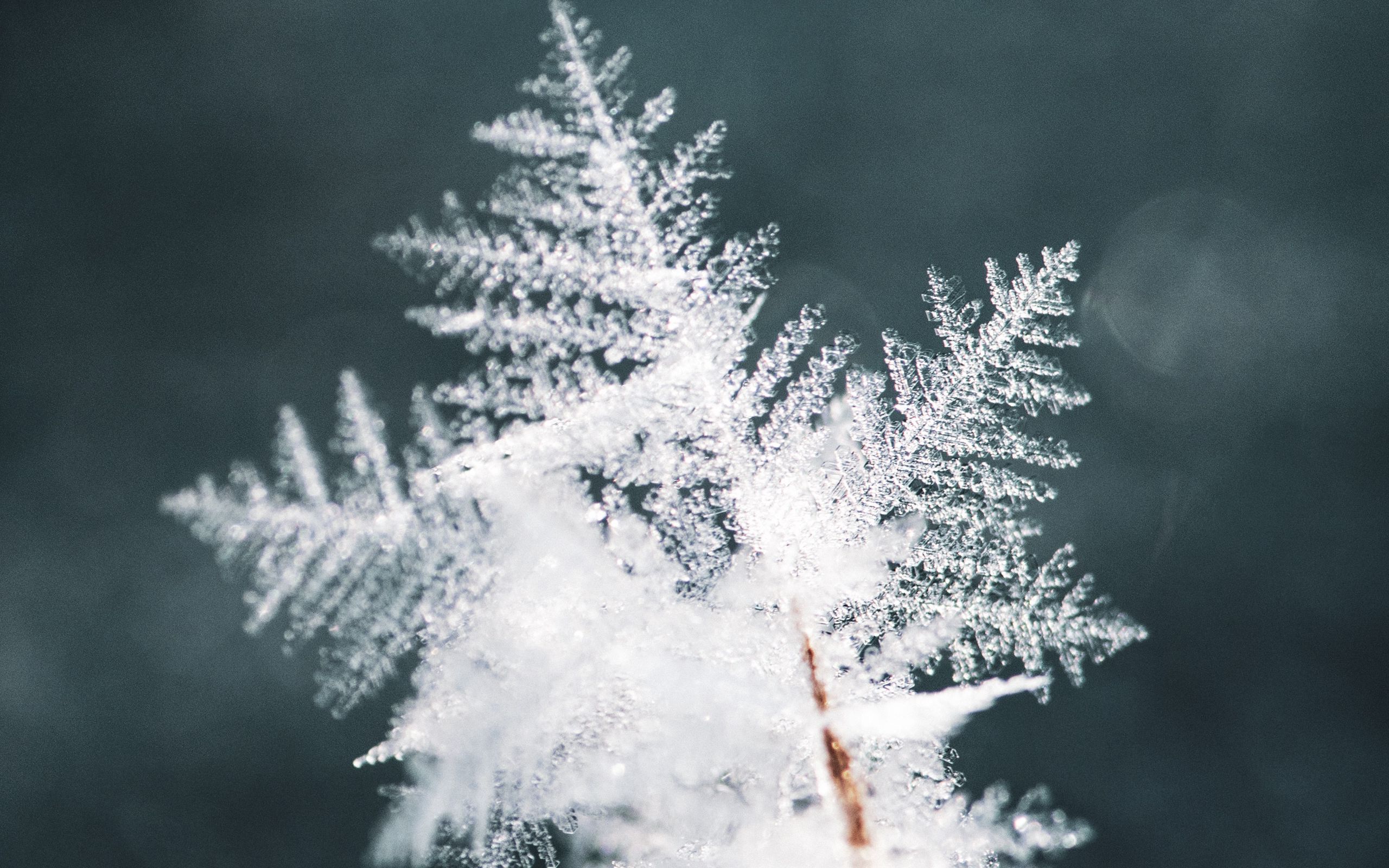 Download Wallpaper 2560x1600 Snowflake, Snow, Ice, Macro, Pattern ...