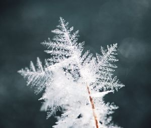 Preview wallpaper snowflake, snow, ice, macro, pattern