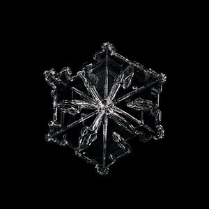 Preview wallpaper snowflake, snow, macro, bw