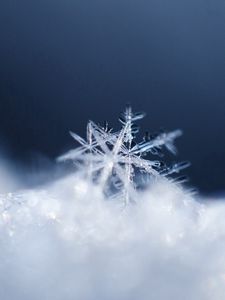 Preview wallpaper snowflake, snow, surface