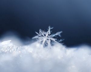 Preview wallpaper snowflake, snow, surface
