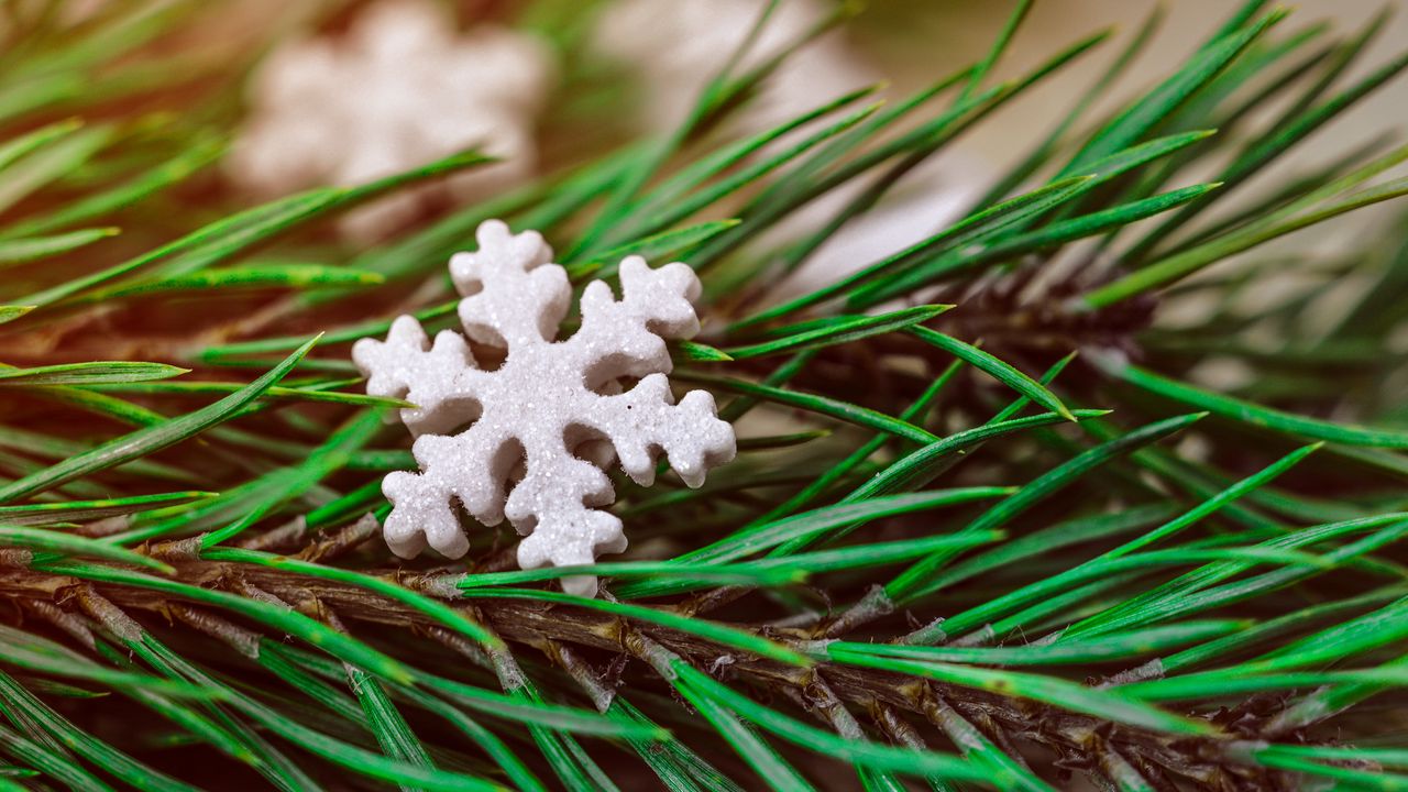 Wallpaper snowflake, spruce, christmas