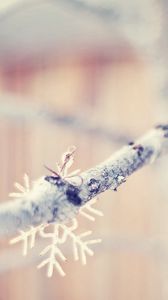 Preview wallpaper snowflakes, branch, winter