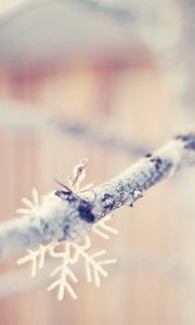 Preview wallpaper snowflakes, branch, winter