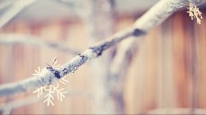 Preview wallpaper snowflakes, branch, winter