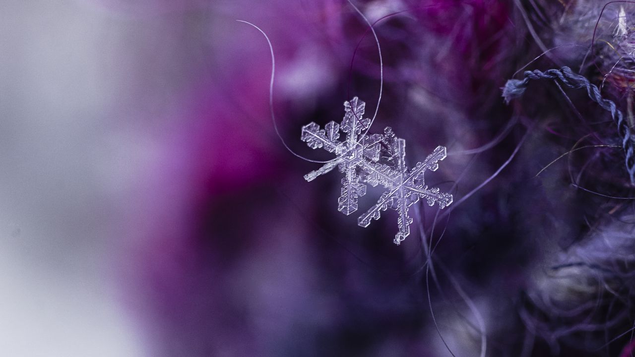 Wallpaper snowflakes, crystals, ice, macro