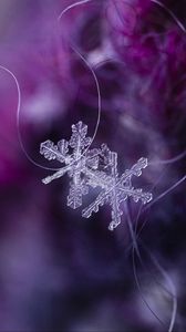 Preview wallpaper snowflakes, crystals, ice, macro