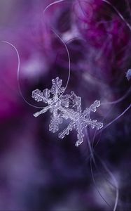 Preview wallpaper snowflakes, crystals, ice, macro