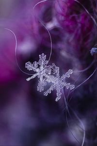 Preview wallpaper snowflakes, crystals, ice, macro