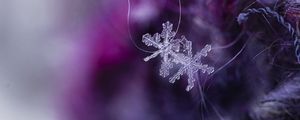 Preview wallpaper snowflakes, crystals, ice, macro