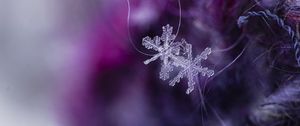 Preview wallpaper snowflakes, crystals, ice, macro