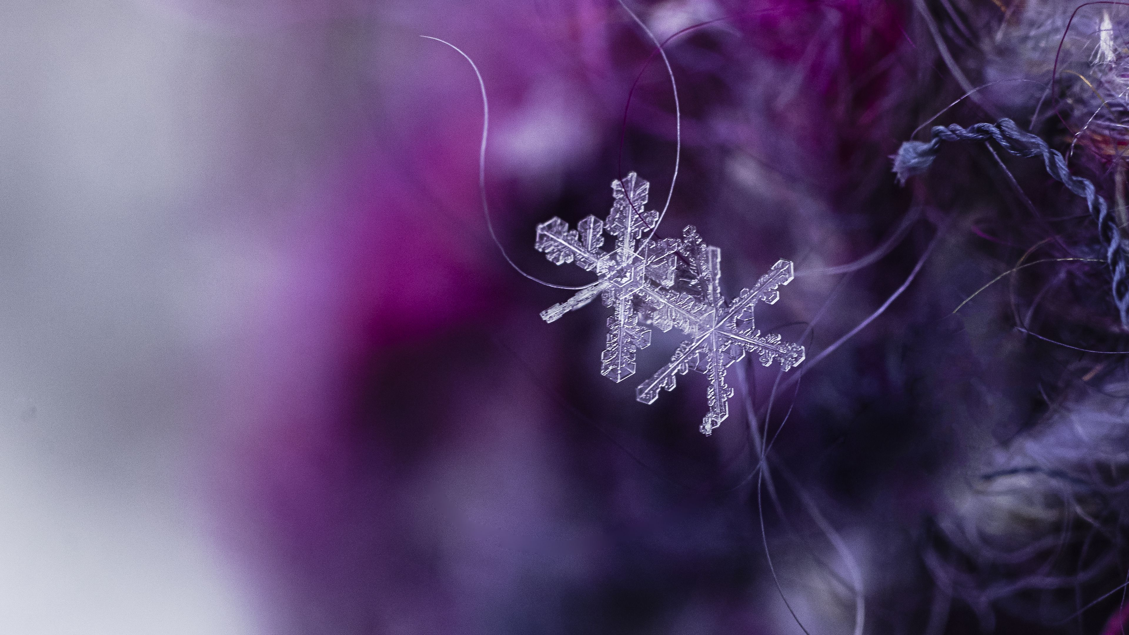 Download Wallpaper 3840x2160 Snowflakes Crystals Ice Macro 4k Uhd 16