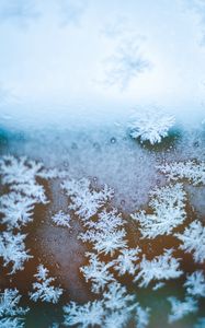Preview wallpaper snowflakes, ice, macro, glass