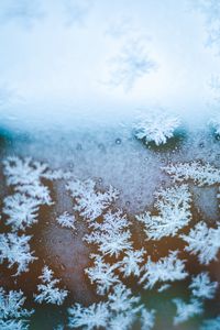 Preview wallpaper snowflakes, ice, macro, glass