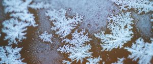 Preview wallpaper snowflakes, ice, macro, glass