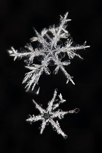 Preview wallpaper snowflakes, macro, ice, pattern, crystal