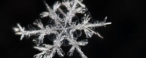 Preview wallpaper snowflakes, macro, ice, pattern, crystal