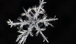 Preview wallpaper snowflakes, macro, ice, pattern, crystal
