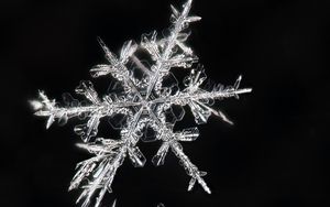 Preview wallpaper snowflakes, macro, ice, pattern, crystal